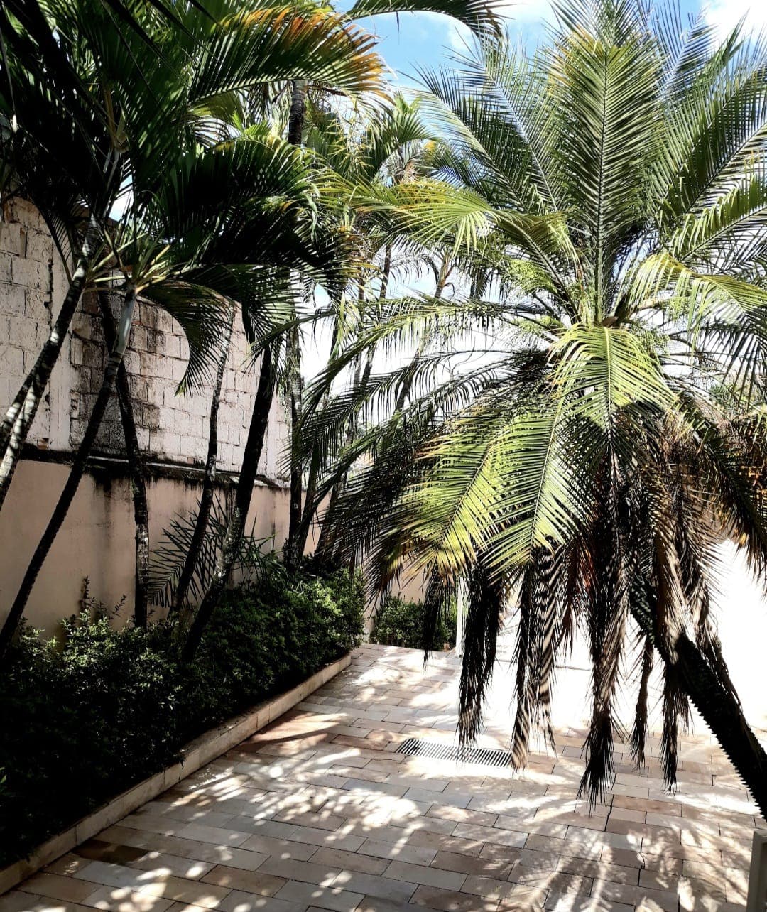 Casa em Cidade Jardim - Uberlândia